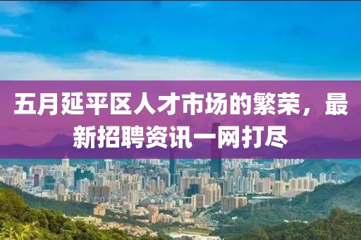 五月延平区人才市场的繁荣，最新招聘资讯一网打尽