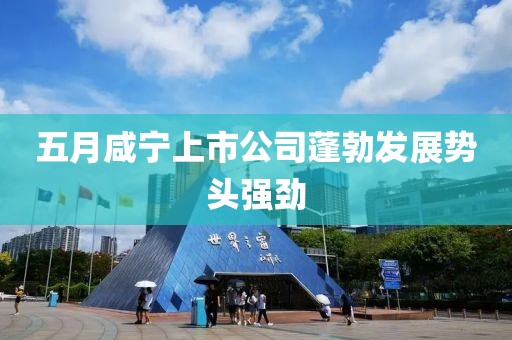 五月咸宁上市公司蓬勃发展势头强劲