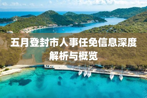 五月登封市人事任免信息深度解析与概览