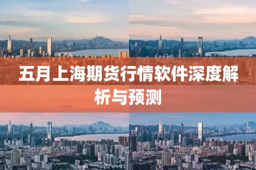 五月上海期货行情软件深度解析与预测