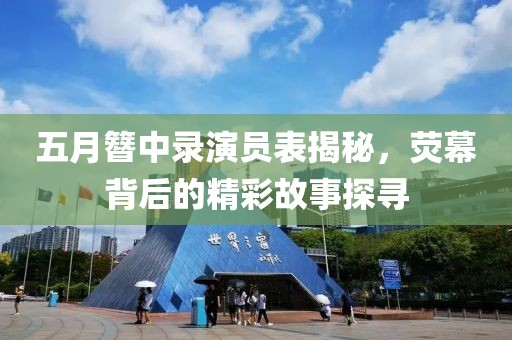 五月簪中录演员表揭秘，荧幕背后的精彩故事探寻