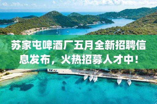 苏家屯啤酒厂五月全新招聘信息发布,火热招募人才中!