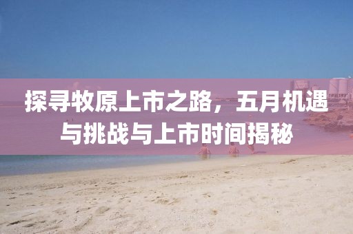 探寻牧原上市之路，五月机遇与挑战与上市时间揭秘