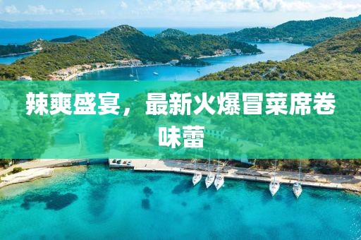 辣爽盛宴，最新火爆冒菜席卷味蕾