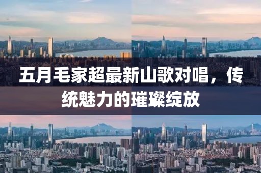 五月毛家超最新山歌对唱,传统魅力的璀璨绽放