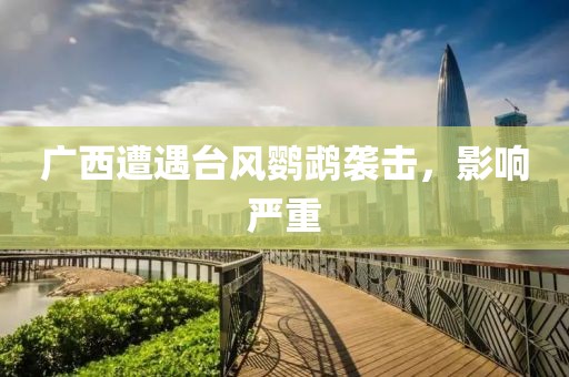 广西遭遇台风鹦鹉袭击，影响严重