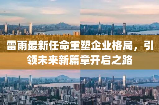 雷雨最新任命重塑企业格局，引领未来新篇章开启之路