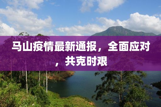 马山疫情最新通报，全面应对，共克时艰