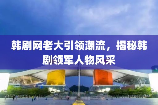 韩剧网老大引领潮流，揭秘韩剧领军人物风采
