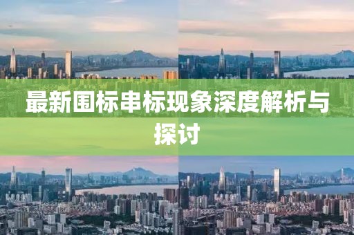 最新围标串标现象深度解析与探讨