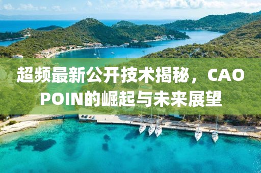 超频最新公开技术揭秘，CAOPOIN的崛起与未来展望