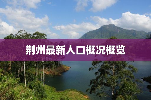 荆州最新人口概况概览