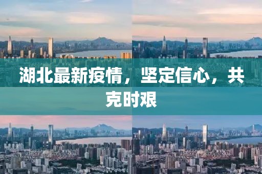 湖北最新疫情,坚定信心,共克时艰