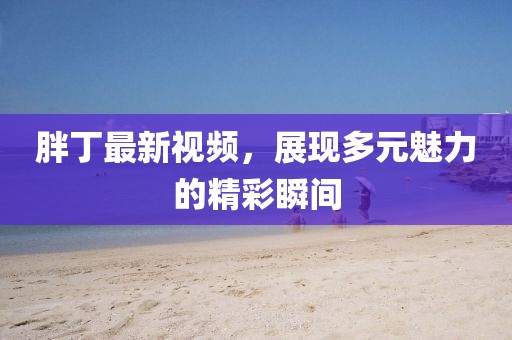 胖丁最新视频,展现多元魅力的精彩瞬间