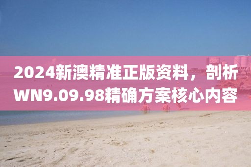2024新澳精准正版资料，剖析WN9.09.98精确方案核心内容