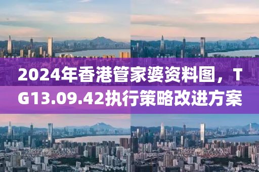 2024年香港管家婆资料图，TG13.09.42执行策略改进方案