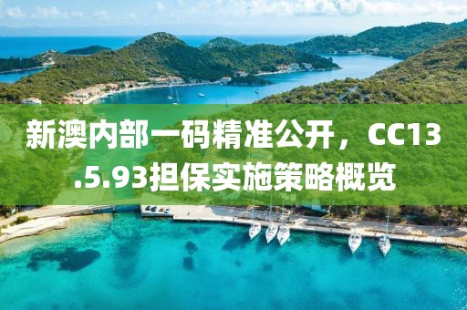 新澳内部一码精准公开，CC13.5.93担保实施策略概览