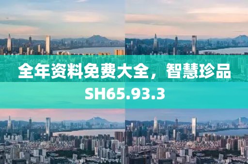 全年资料免费大全，智慧珍品SH65.93.3