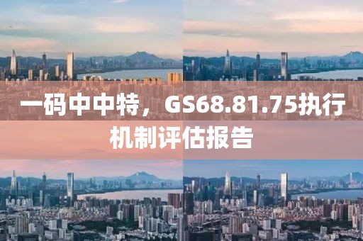 一码中中特，GS68.81.75执行机制评估报告