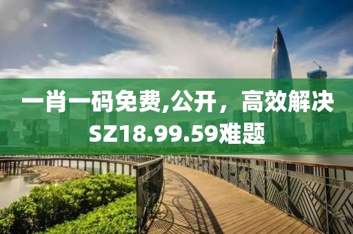 一肖一码免费,公开，高效解决SZ18.99.59难题