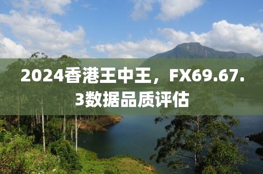 2024香港王中王，FX69.67.3数据品质评估