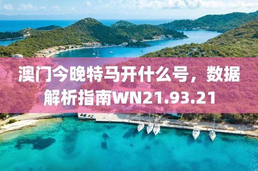 澳门今晚特马开什么号，数据解析指南WN21.93.21