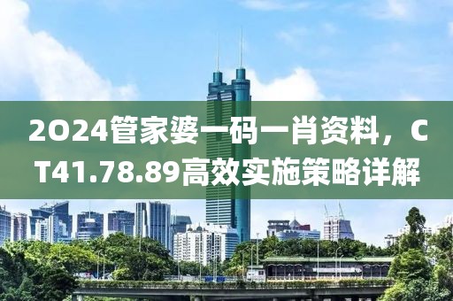 2O24管家婆一码一肖资料，CT41.78.89高效实施策略详解