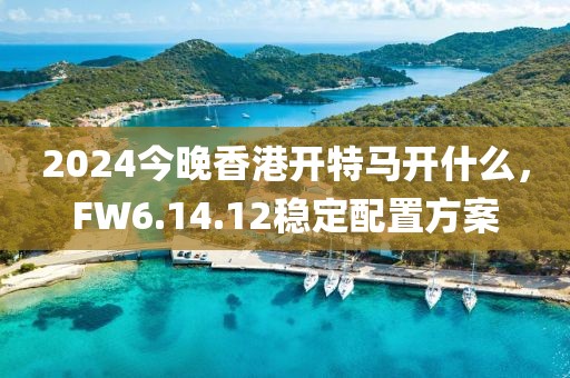 2024今晚香港开特马开什么，FW6.14.12稳定配置方案
