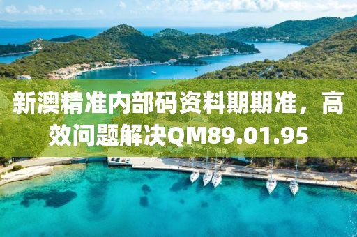 新澳精准内部码资料期期准，高效问题解决QM89.01.95