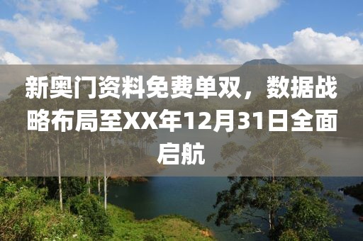 新奥门资料免费单双，数据战略布局至XX年12月31日全面启航