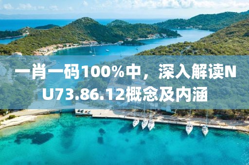 一肖一码100%中,深入解读NU73.86.12概念及内涵
