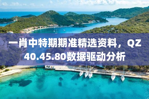一肖中特期期准精选资料，QZ40.45.80数据驱动分析