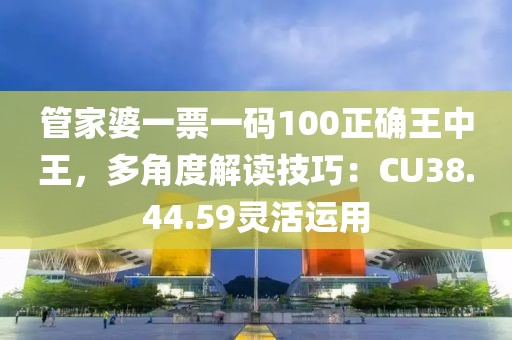 管家婆一票一码100正确王中王，多角度解读技巧：CU38.44.59灵活运用