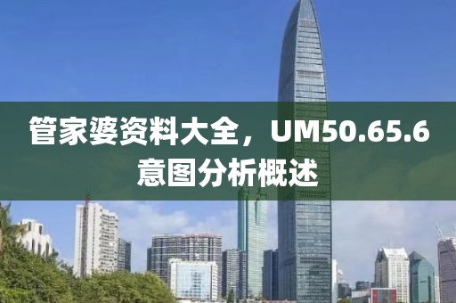 管家婆资料大全，UM50.65.6意图分析概述