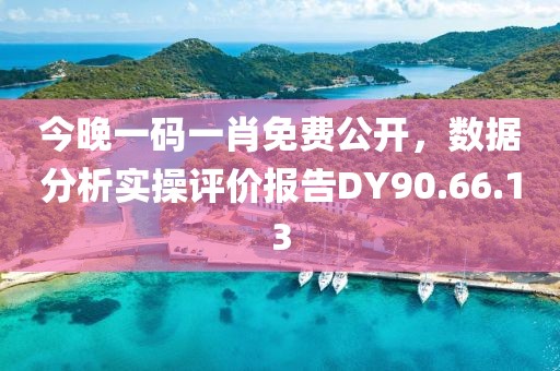 今晚一码一肖免费公开，数据分析实操评价报告DY90.66.13