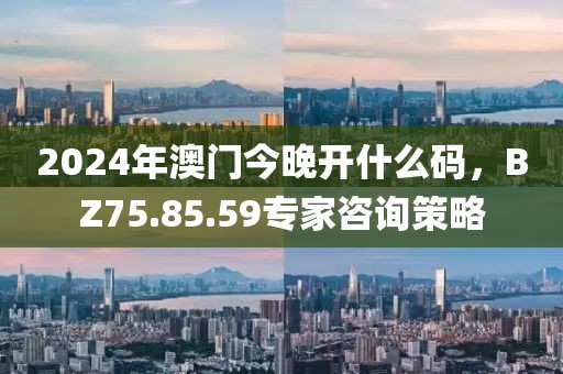 2024年澳门今晚开什么码，BZ75.85.59专家咨询策略