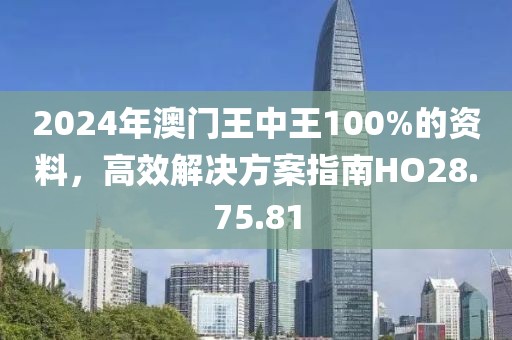2024年澳门王中王100%的资料，高效解决方案指南HO28.75.81