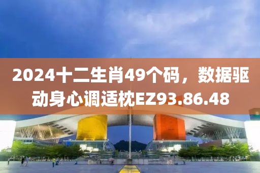 2024十二生肖49个码，数据驱动身心调适枕EZ93.86.48