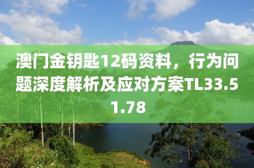 澳门金钥匙12码资料，行为问题深度解析及应对方案TL33.51.78