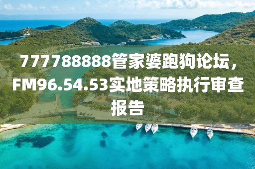 777788888管家婆跑狗论坛，FM96.54.53实地策略执行审查报告