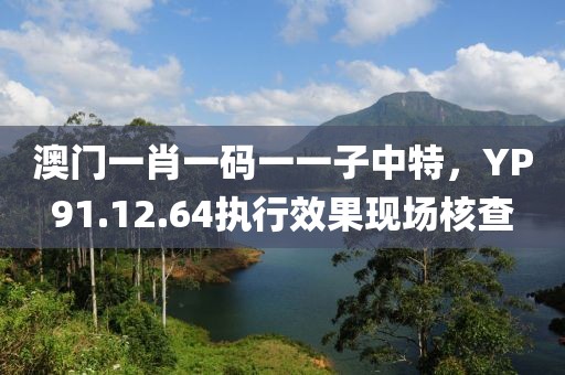 澳门一肖一码一一子中特，YP91.12.64执行效果现场核查