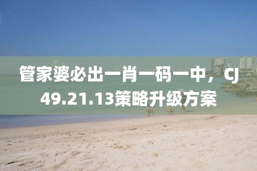 管家婆必出一肖一码一中，CJ49.21.13策略升级方案