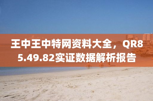 王中王中特网资料大全，QR85.49.82实证数据解析报告