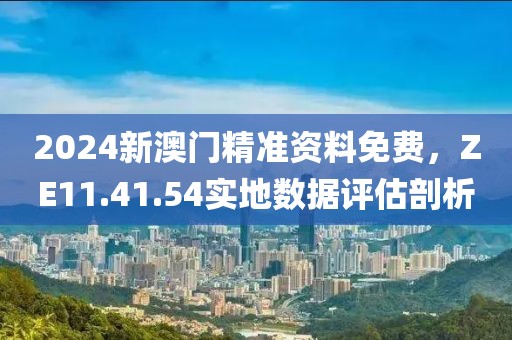 2024新澳门精准资料免费，ZE11.41.54实地数据评估剖析