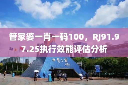 管家婆一肖一码100，RJ91.97.25执行效能评估分析