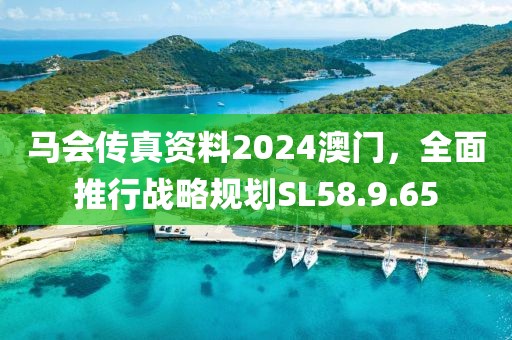 马会传真资料2024澳门，全面推行战略规划SL58.9.65