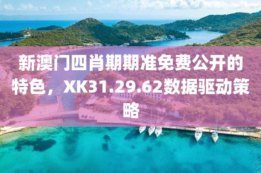 新澳门四肖期期准免费公开的特色,XK31.29.62数据驱动策略