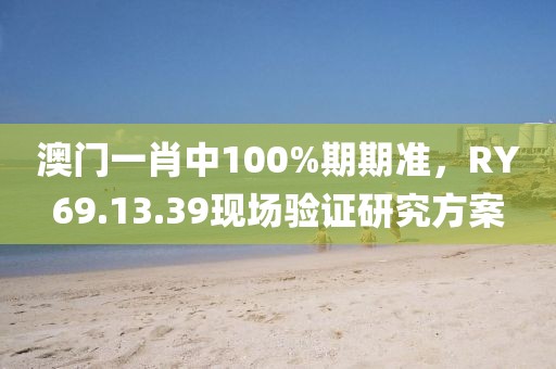 澳门一肖中100%期期准，RY69.13.39现场验证研究方案
