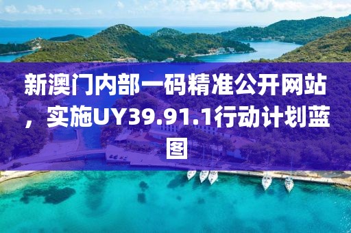 新澳门内部一码精准公开网站，实施UY39.91.1行动计划蓝图