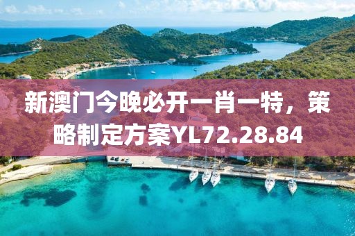 新澳门今晚必开一肖一特,策略制定方案YL72.28.84